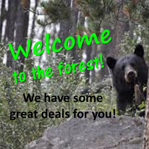 MAKE an OFFER .... we can BEARLY wait!